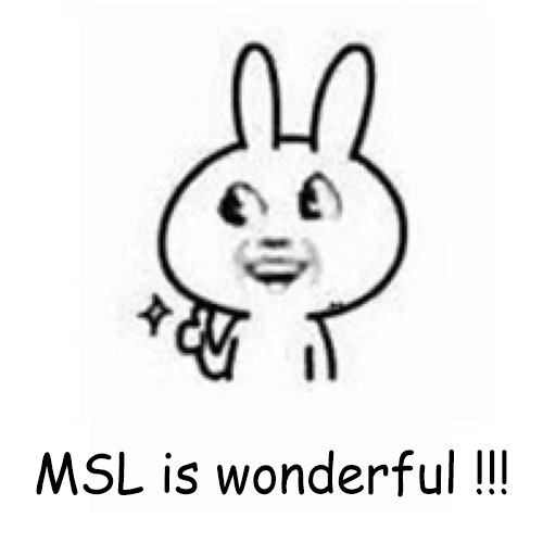 msl-force